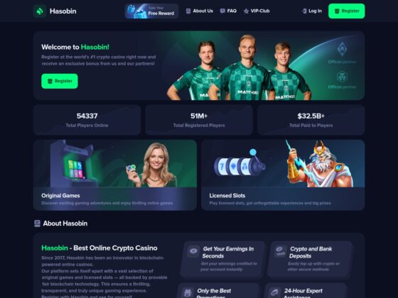 Hasobin.com Review: Transparency, Safety, and Reputation Analysis